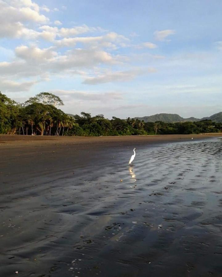 Villas Guanacaste Potrero  Buitenkant foto